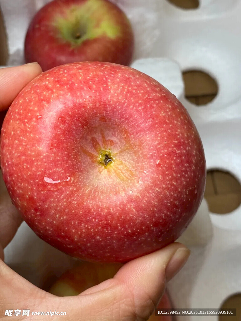 手捧鮮紅多汁的大蘋果