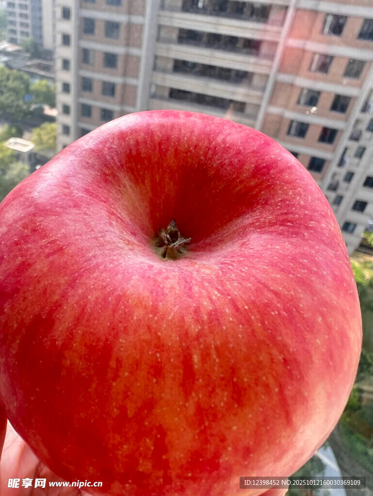 鮮紅飽滿的大蘋果
