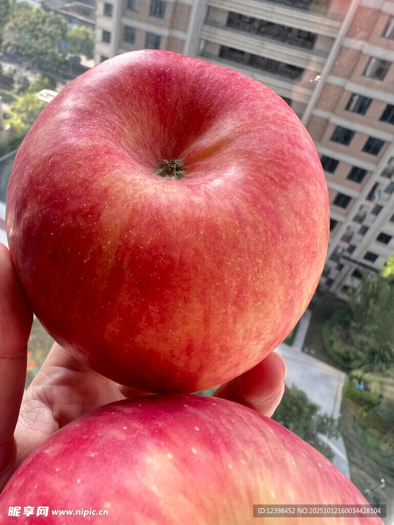 鮮艷紅蘋果特寫