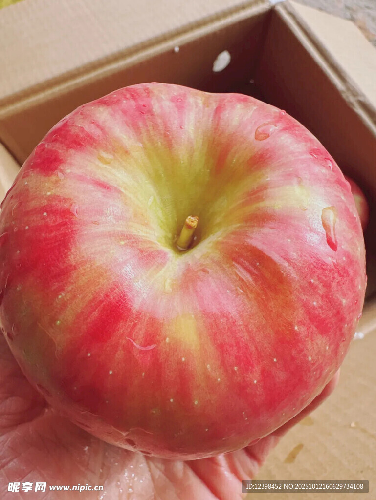 新鮮紅蘋果特寫