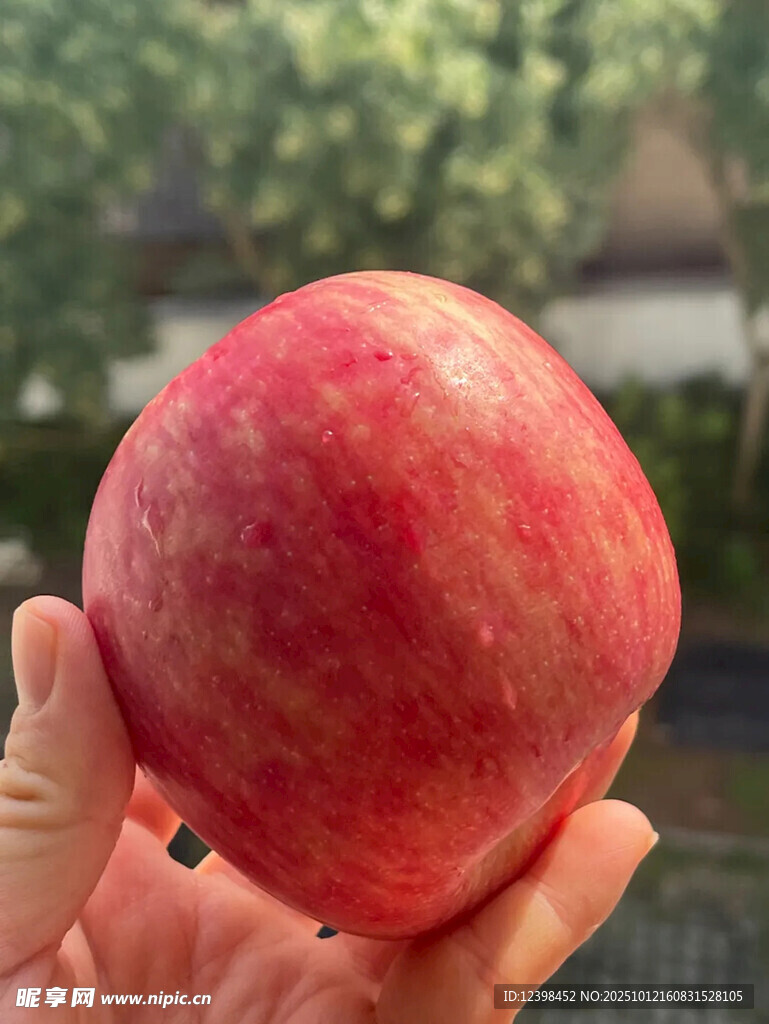 大蘋果