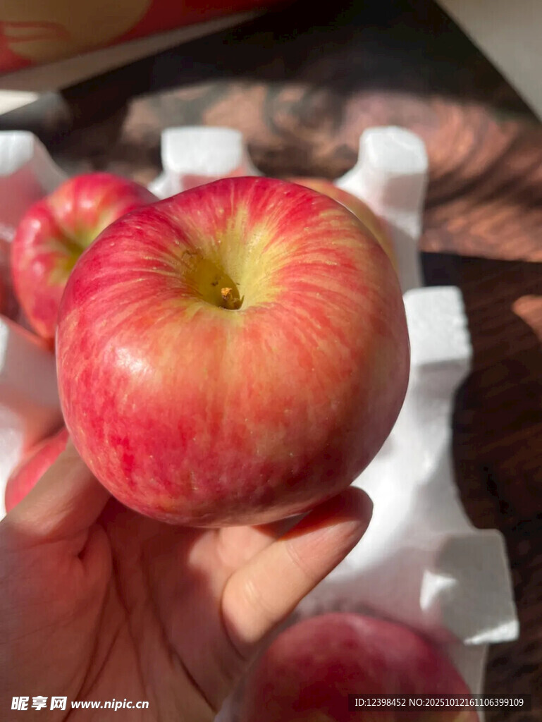 手捧色澤誘人的新鮮蘋果