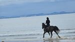 海邊策馬