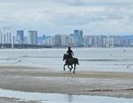 海灘上策馬馳騁的身影