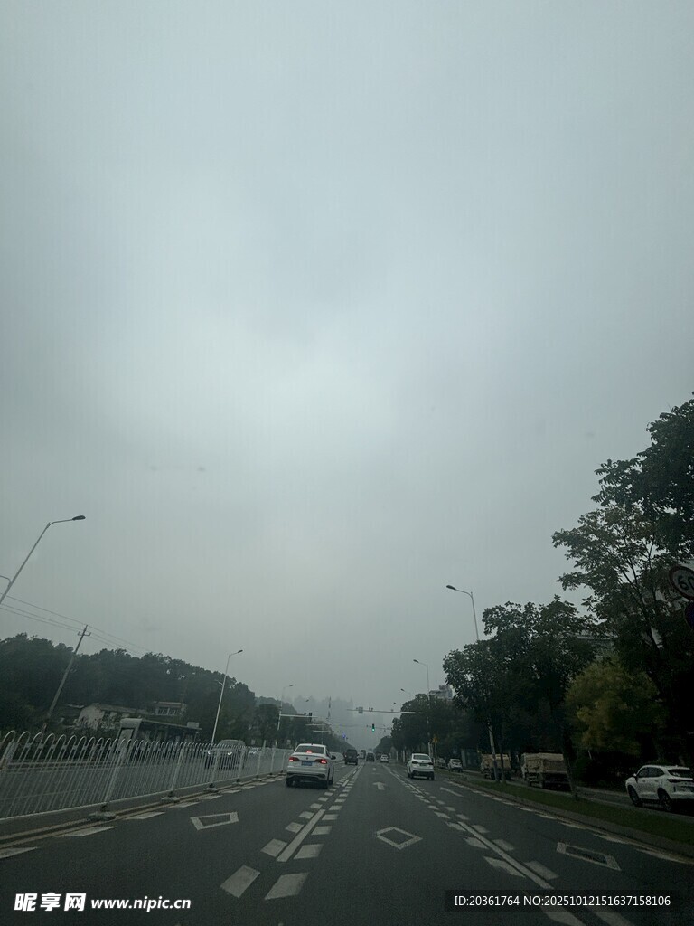 霧中公路上的行駛車輛