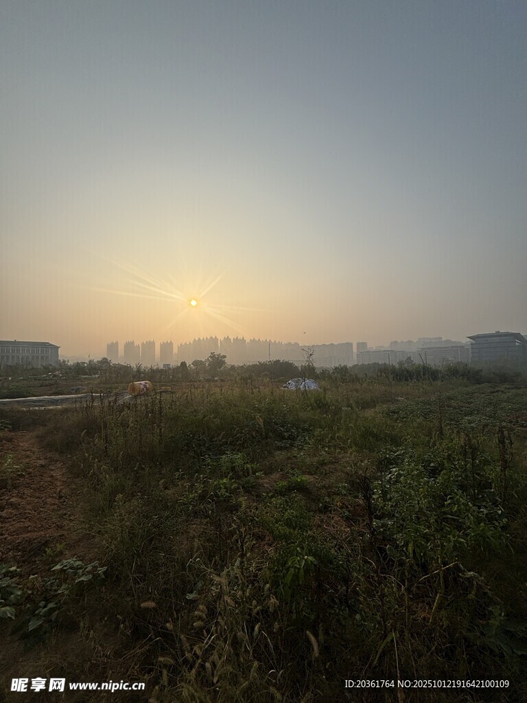 日出時(shí)分的廣袤田野景色