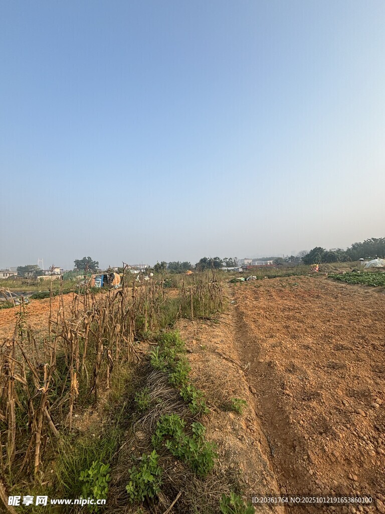 秋日田野風(fēng)光