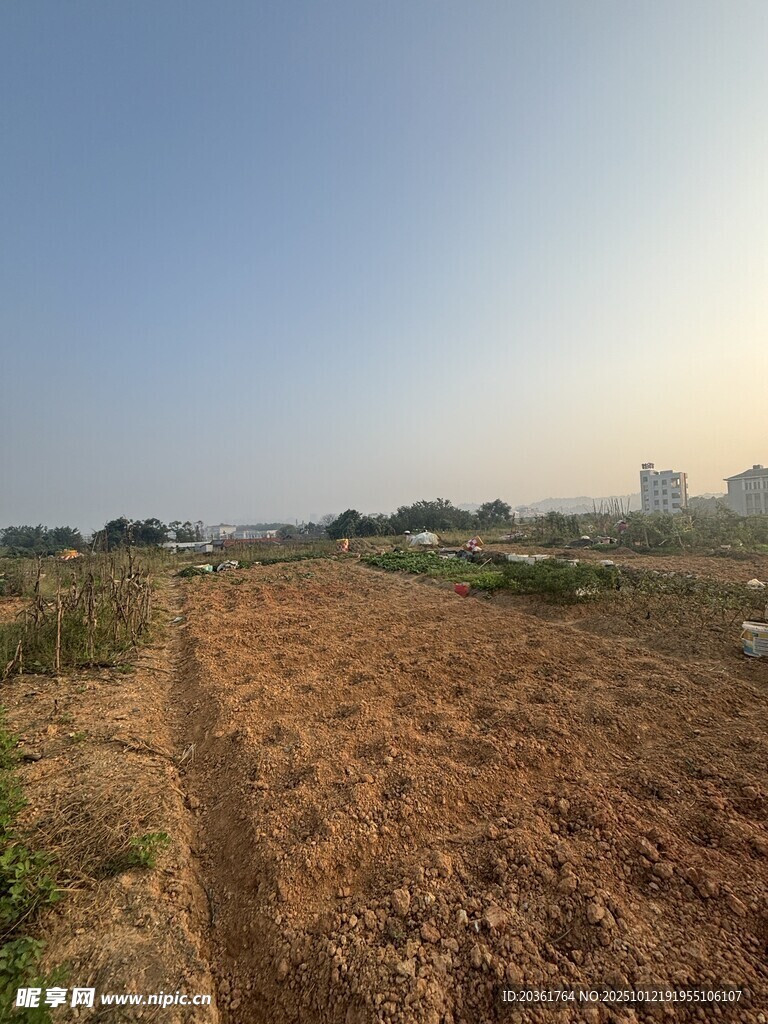 空曠田野景象