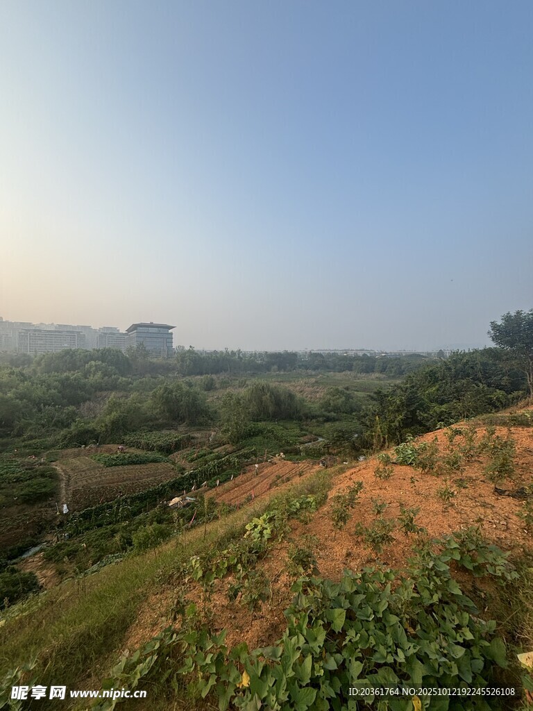 郊外綠意盎然的開闊景致