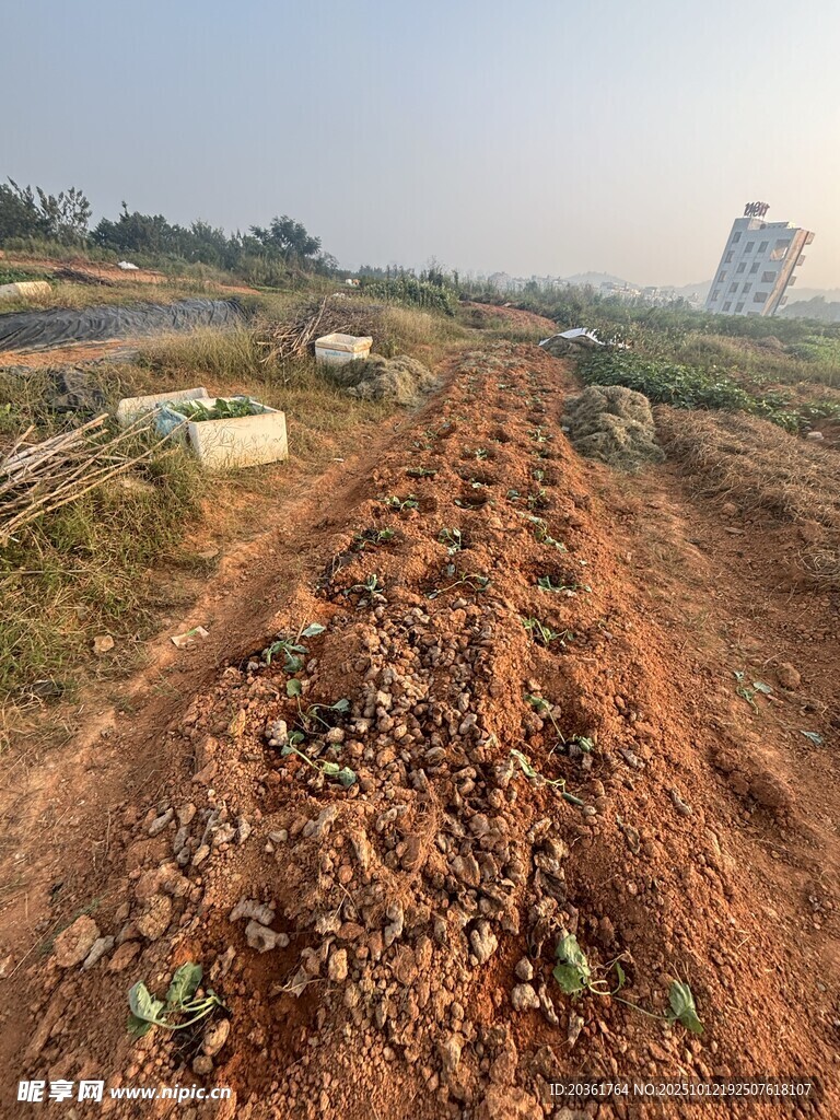 田野中的新耕土地