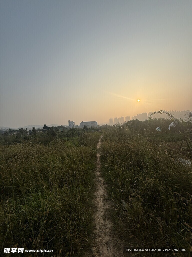 黃昏下的田野小徑