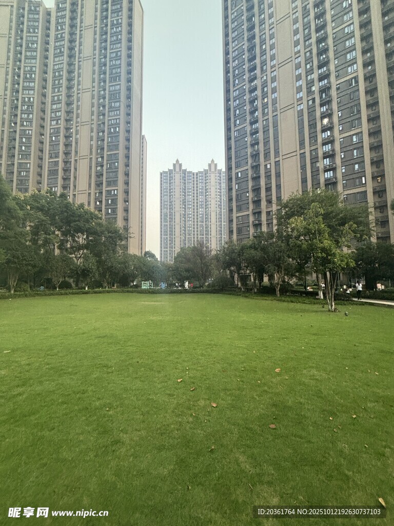 城市中的大片綠地景觀