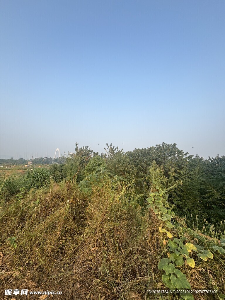 秋日田野風(fēng)光