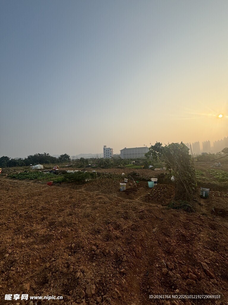 田野黃昏景色