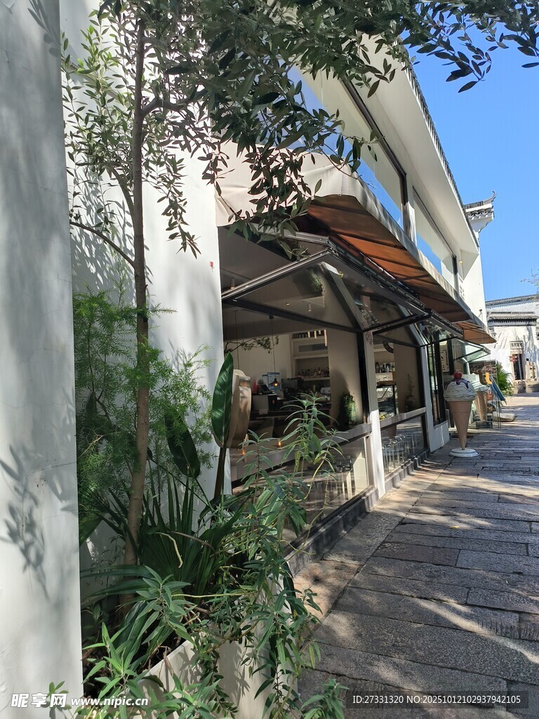 街道旁的綠植與建筑景觀