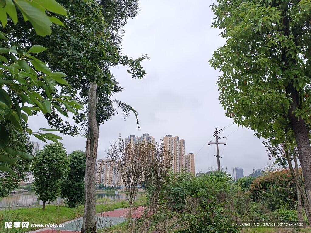 城市邊緣的綠樹與遠(yuǎn)景