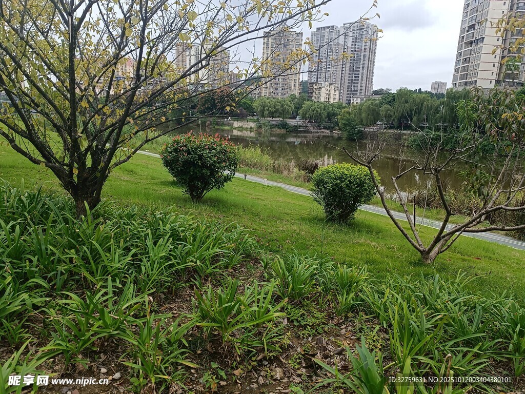 城市中的靜謐綠植景觀