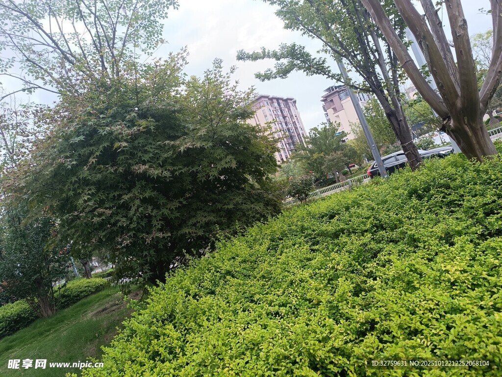 城市綠意盎然的綠化帶景觀