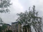 綠樹環(huán)繞的多層建筑