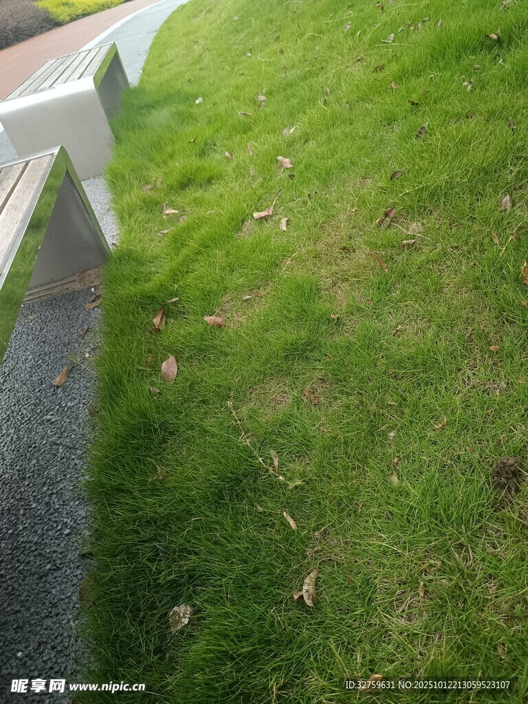 路邊草地與長椅一角
