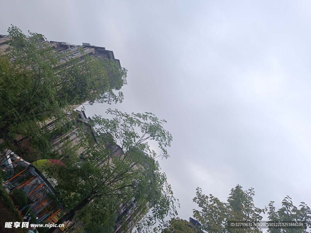 戶外綠樹與陰沉天空景色