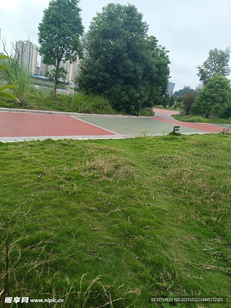 戶外草地與遠處運動場地