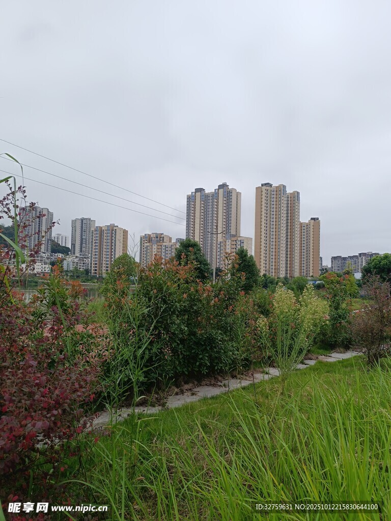 城市邊的綠植與高樓景觀
