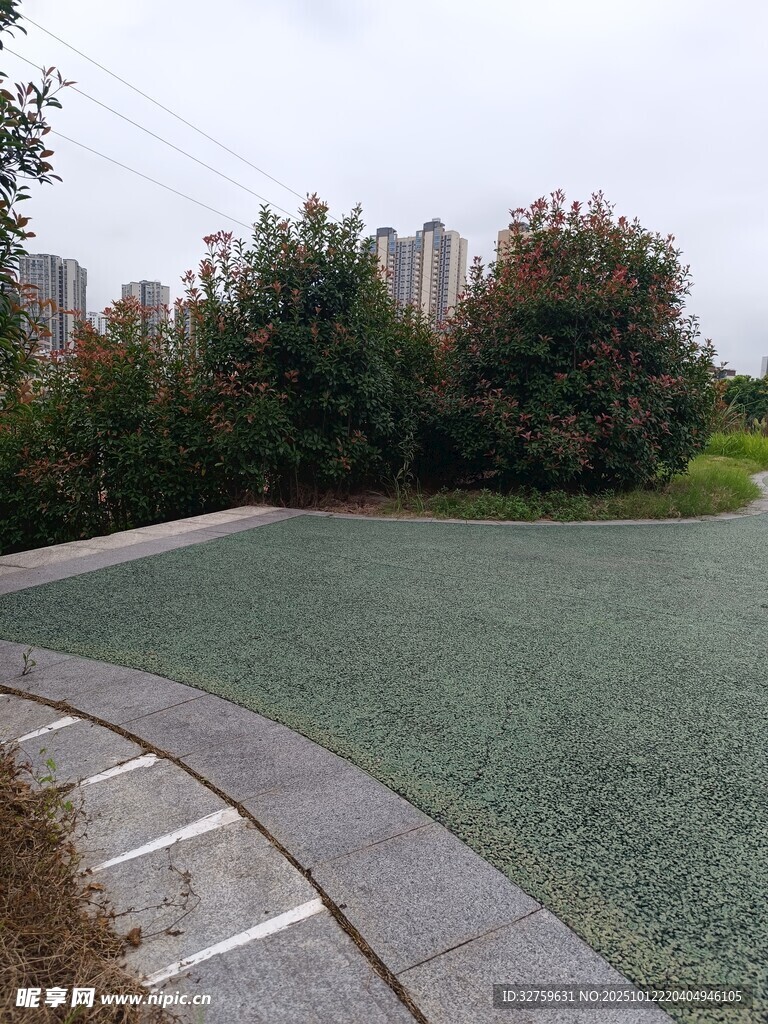 戶外綠色平坦場(chǎng)地景觀