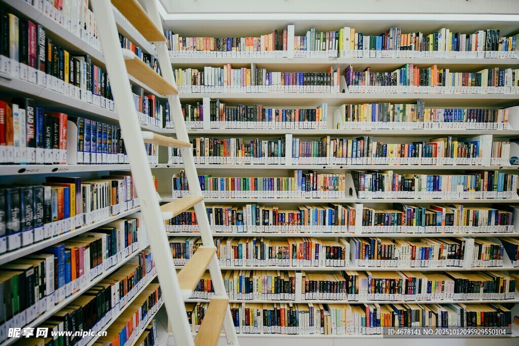 圖書館書架上的海量書籍