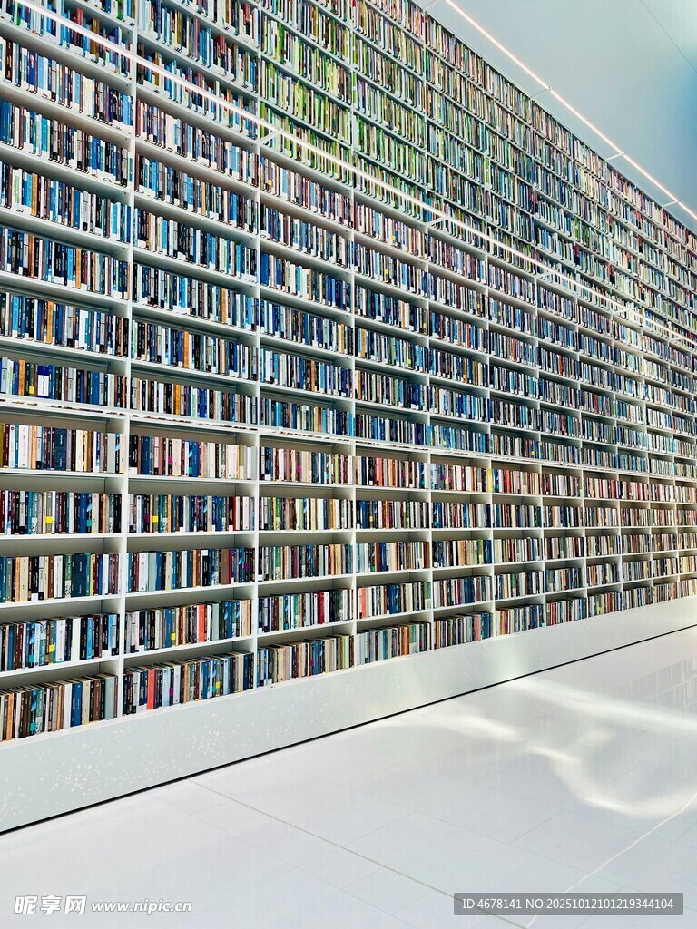 壯觀圖書館書架