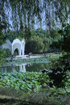 公園風(fēng)景  
