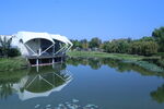 公園風(fēng)景 
