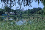 公園風(fēng)景 