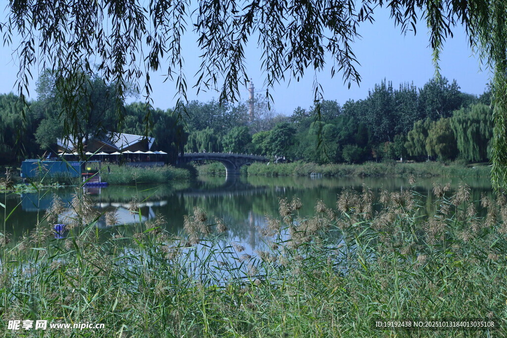 公園風景 