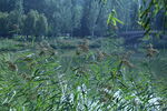 公園風(fēng)景 