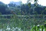 公園風(fēng)景 