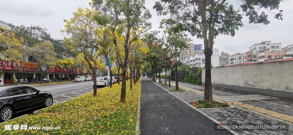 春天里的城市街道