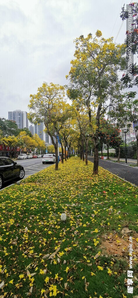春天里的城市街道