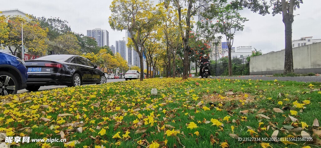 春天里的城市街道