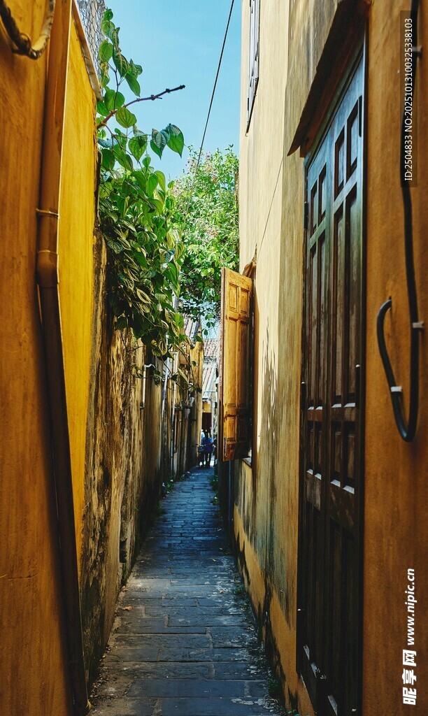 狹窄小巷中的靜謐景致