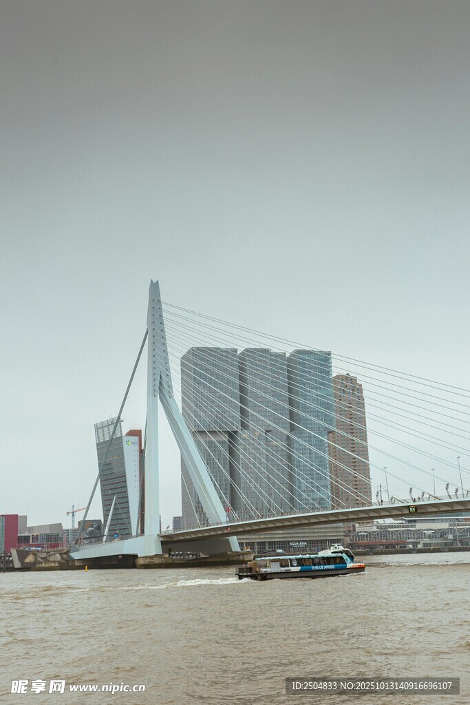 鹿特丹伊拉斯謨橋城市景觀