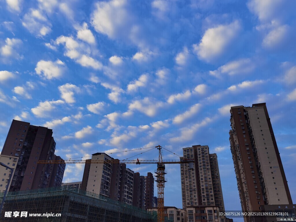 城市天際線與施工塔吊