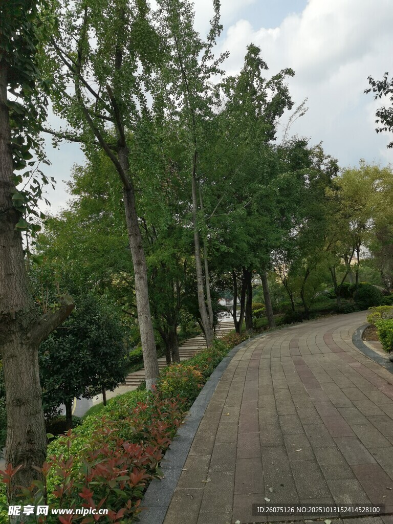 城市林蔭步道景觀