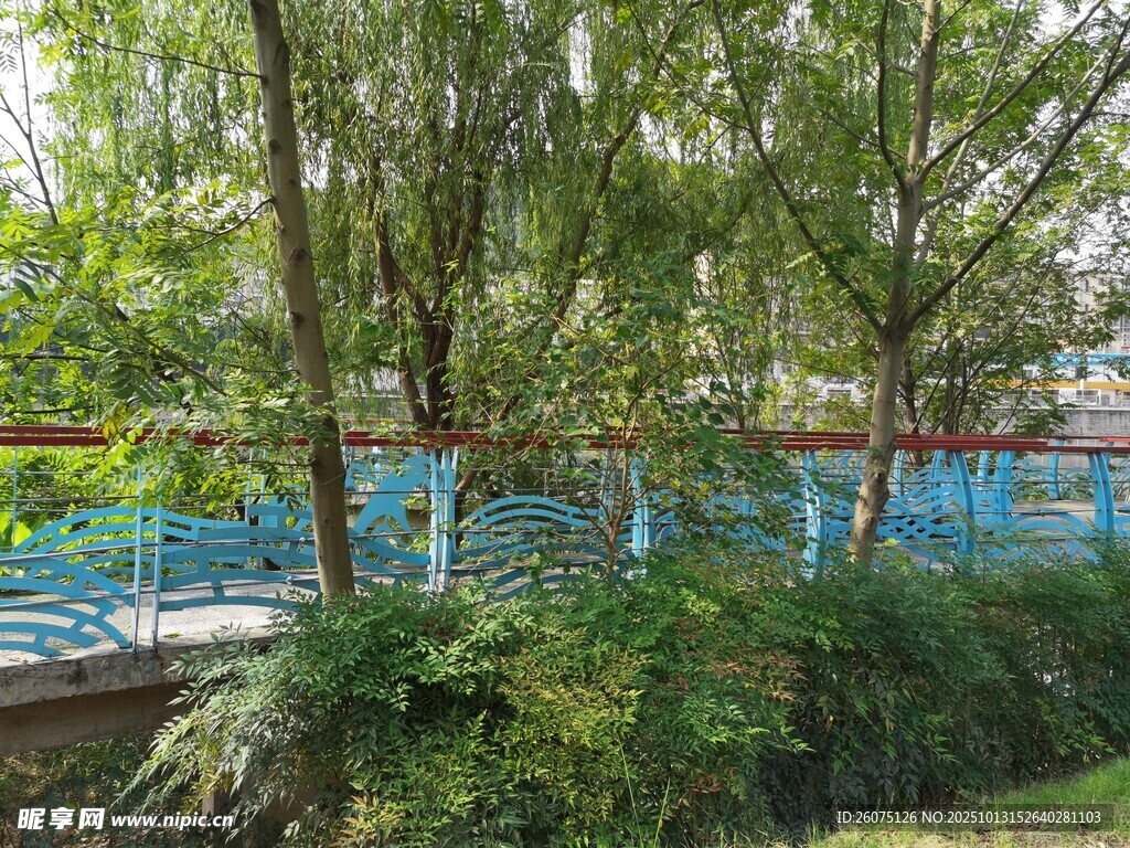 河畔綠樹與藍色圍欄景致