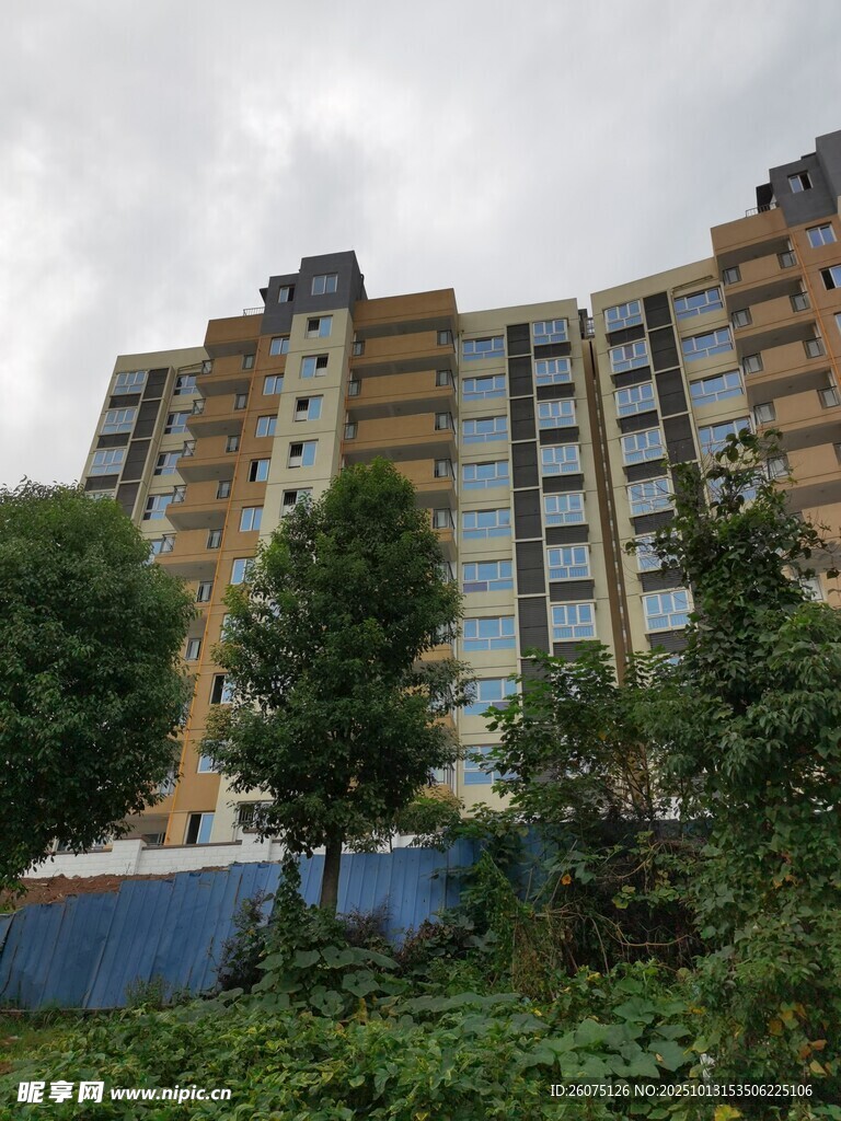 高層住宅樓旁綠植景觀