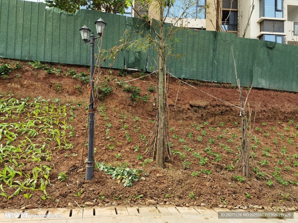 戶外綠植與圍欄景觀