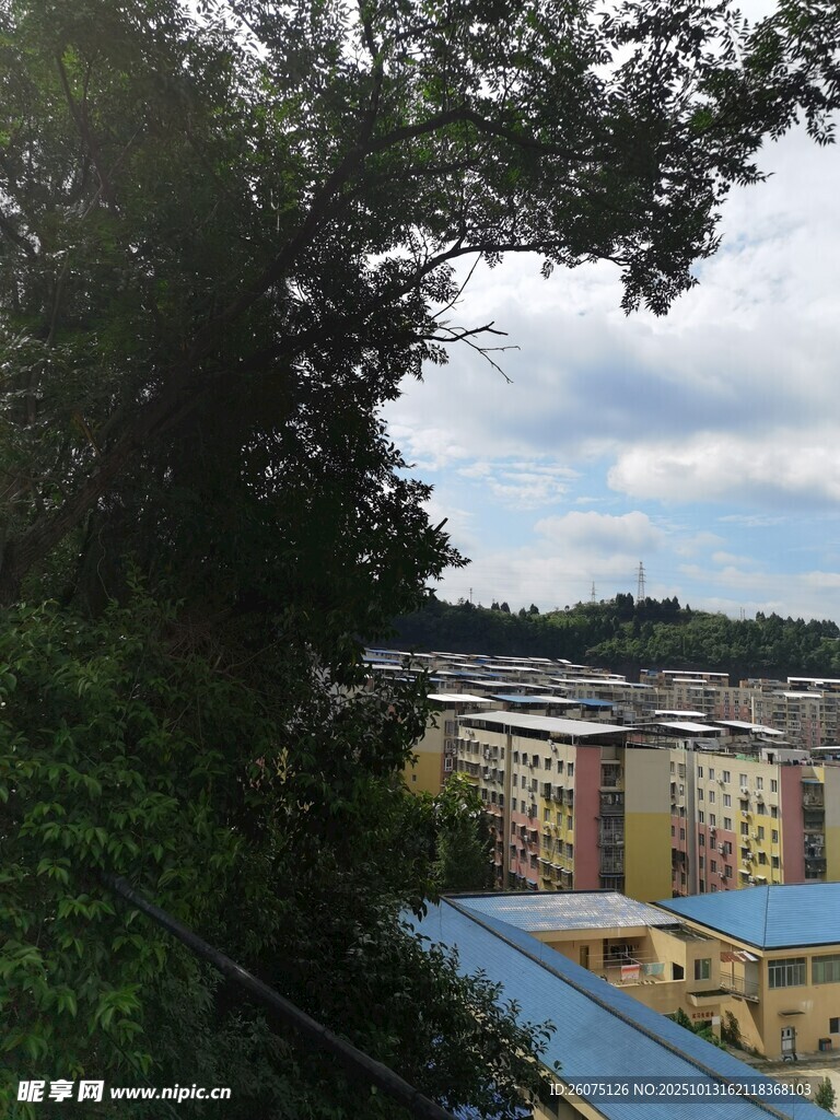 俯瞰城市建筑與綠樹景觀