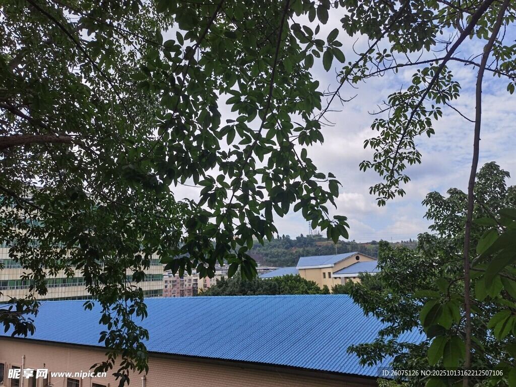 藍(lán)頂建筑隱于綠樹間