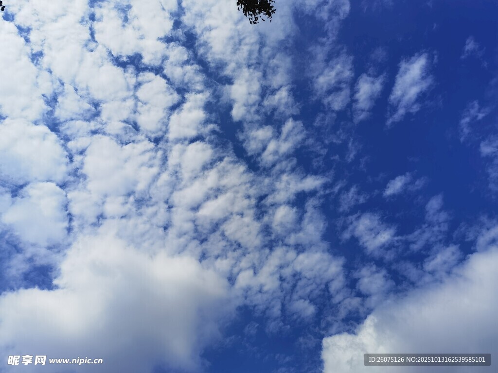 藍天下的空中飛行物