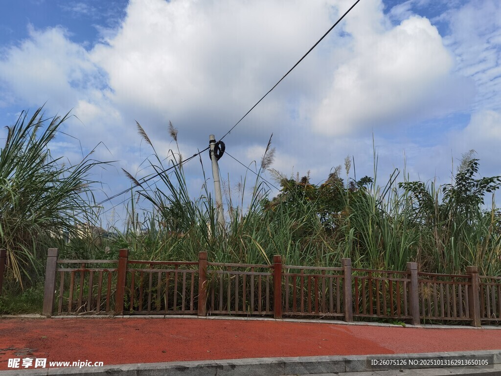 戶外紅地綠植藍(lán)天白云景